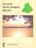 Punjab State Development Report